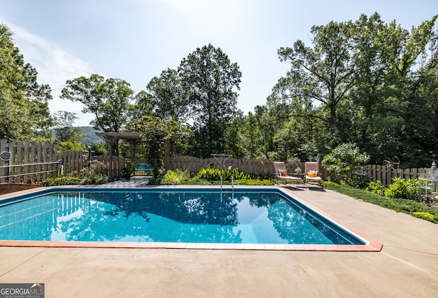 view of swimming pool featuring a patio