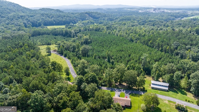 birds eye view of property featuring a mountain view