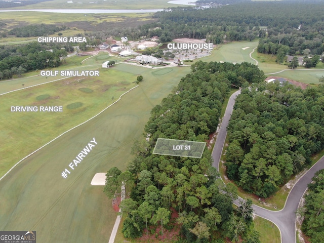 0 Lone Pine Ct, Waverly GA, 31565 land for sale