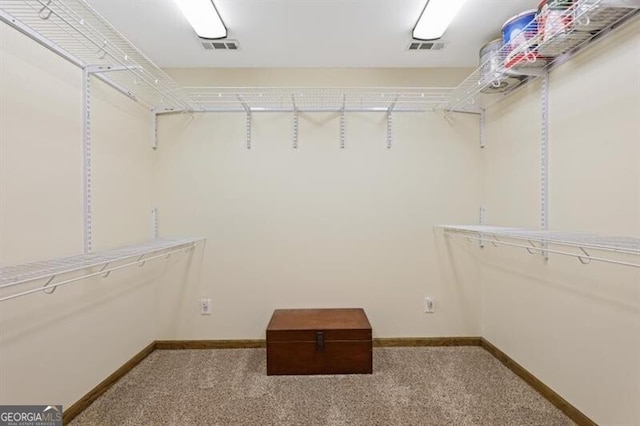 spacious closet featuring carpet