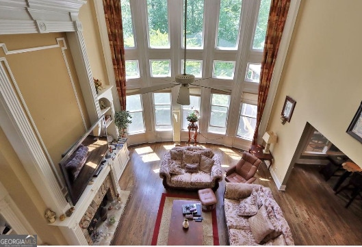 living room featuring a high ceiling and wood-type flooring