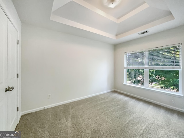 unfurnished room featuring a raised ceiling and carpet