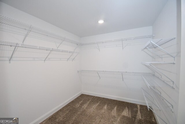 spacious closet with carpet