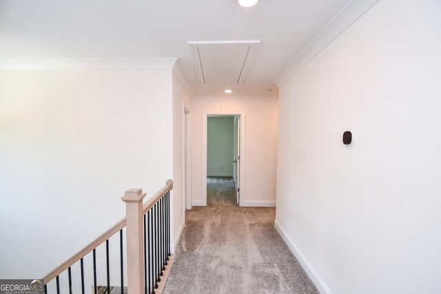 hall with ornamental molding and carpet flooring