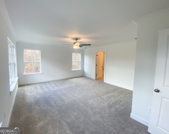 spare room with carpet floors, ceiling fan, and ornamental molding