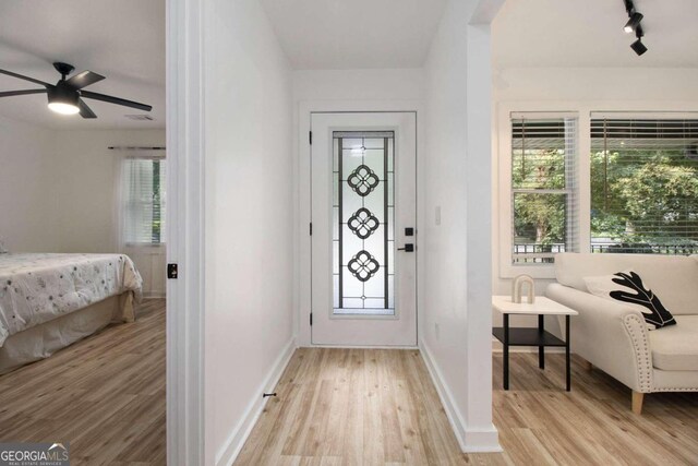 entrance foyer with a wealth of natural light, ceiling fan, and light wood-type flooring