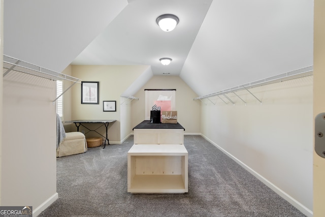 spacious closet with lofted ceiling and carpet floors