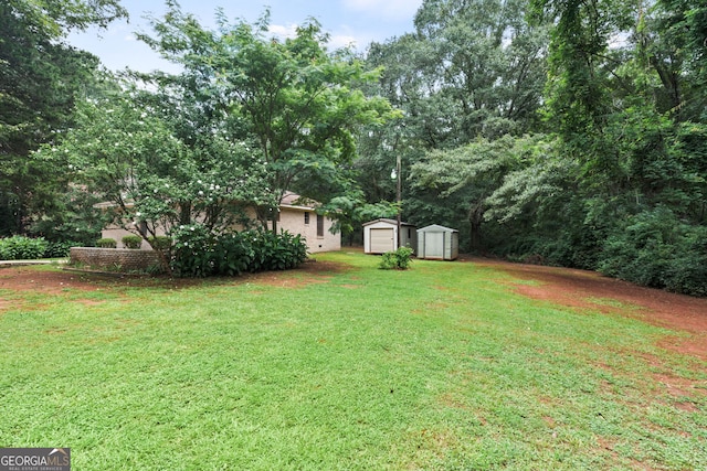 view of yard with a shed