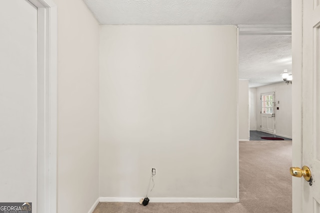 interior space featuring carpet and a textured ceiling