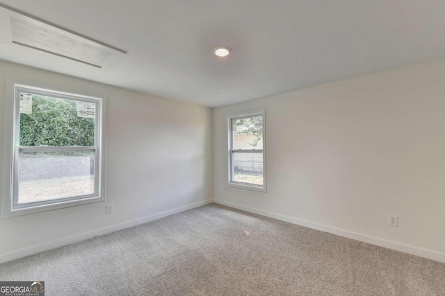 spare room with carpet flooring and a wealth of natural light