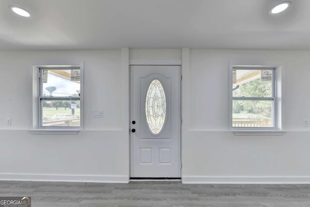 entrance foyer featuring wood-type flooring