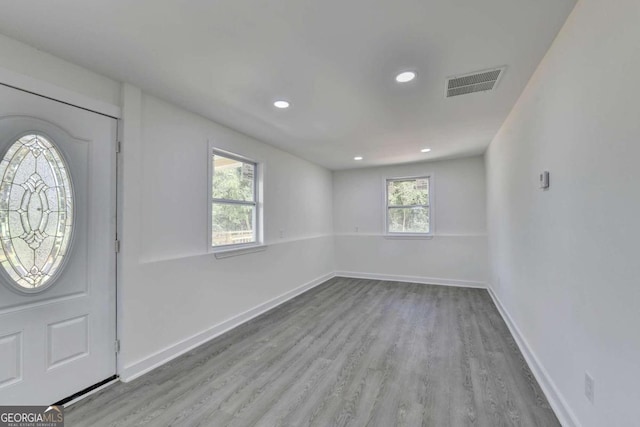 foyer featuring light hardwood / wood-style flooring and a wealth of natural light