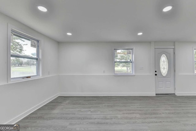 foyer entrance featuring hardwood / wood-style flooring