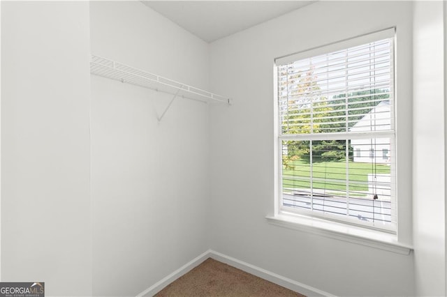 spacious closet with carpet flooring