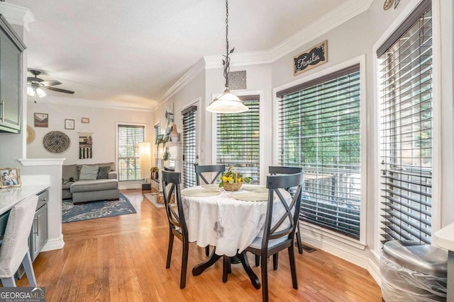 dining space with ceiling fan, light hardwood / wood-style floors, and crown molding