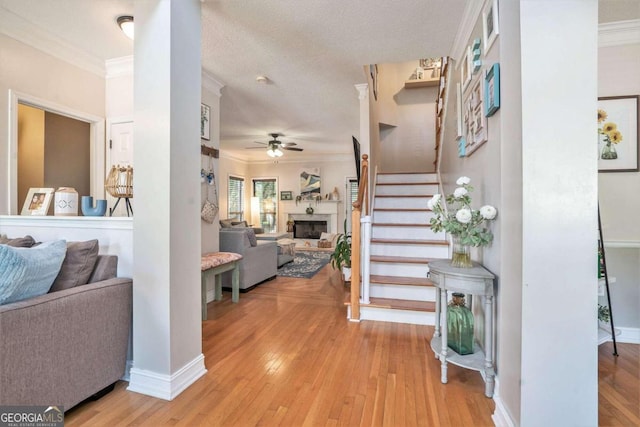 entrance foyer featuring light wood-type flooring, crown molding, a textured ceiling, and ceiling fan