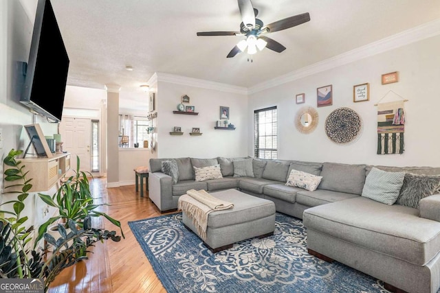 living room with hardwood / wood-style floors, ceiling fan, and ornamental molding