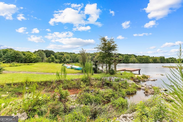 view of yard featuring a water view