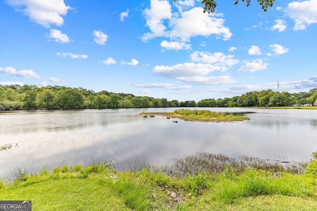 property view of water