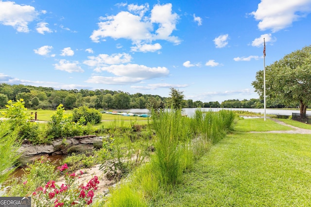 view of yard featuring a water view