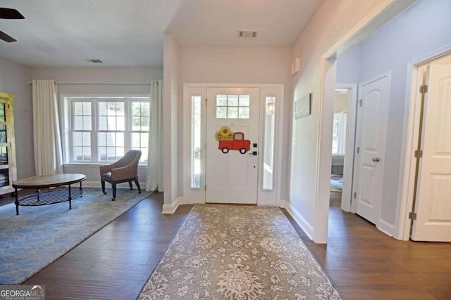 entryway with ceiling fan, hardwood / wood-style flooring, and plenty of natural light