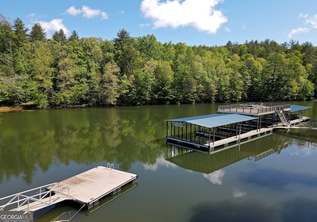 view of dock with a water view