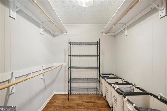 walk in closet with hardwood / wood-style floors