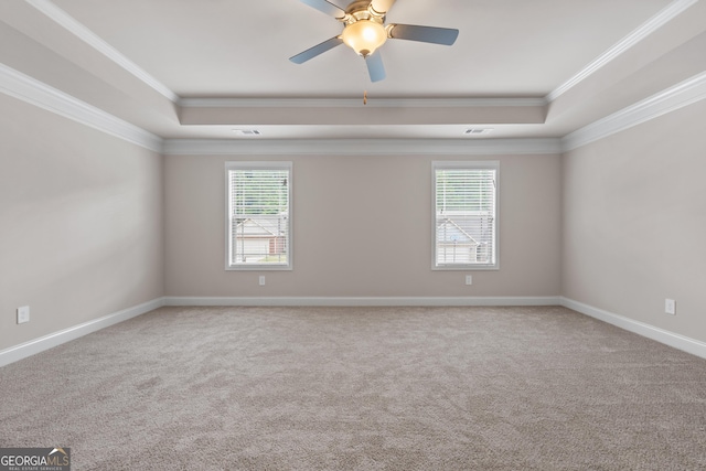 carpeted empty room with ornamental molding, plenty of natural light, and a tray ceiling