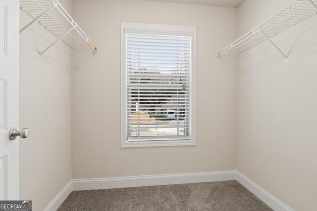 walk in closet featuring carpet flooring