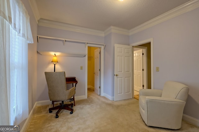 sitting room with carpet, a textured ceiling, and crown molding