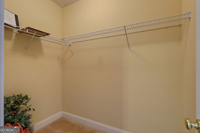 spacious closet with carpet flooring