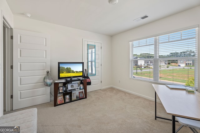 office with light carpet and a wealth of natural light