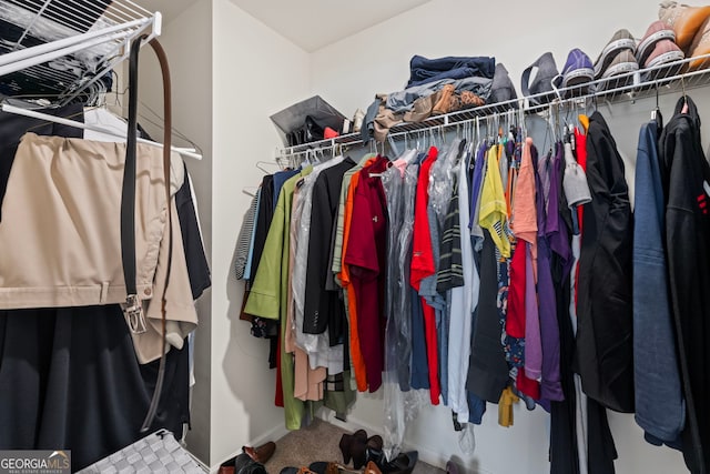 spacious closet with carpet