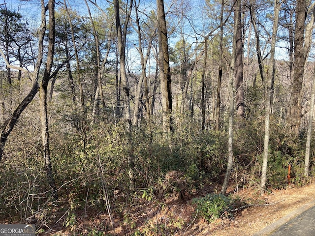 Listing photo 3 for LOTS36-37 Whispering Dl, Clarkesville GA 30523