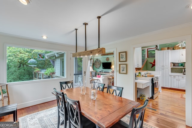 dining room with light hardwood / wood-style floors and crown molding