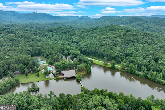 bird's eye view with a water and mountain view