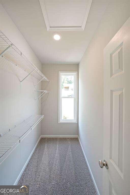 walk in closet featuring carpet floors