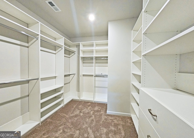 spacious closet featuring carpet floors and visible vents