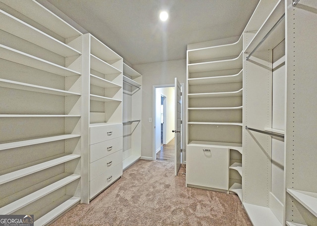 walk in closet featuring carpet flooring