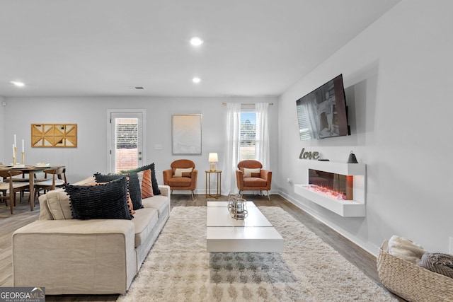 living room featuring wood-type flooring