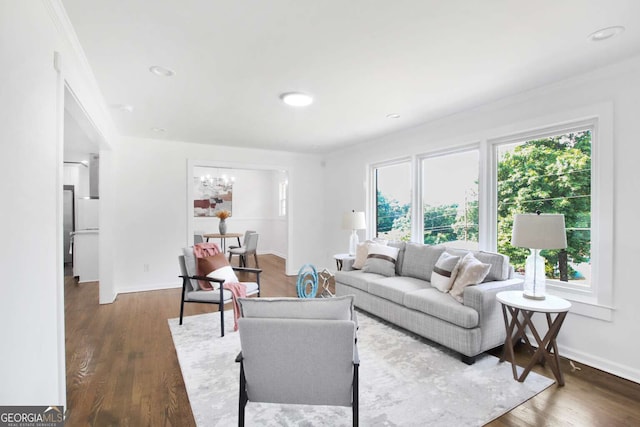 living room featuring dark hardwood / wood-style floors and ornamental molding