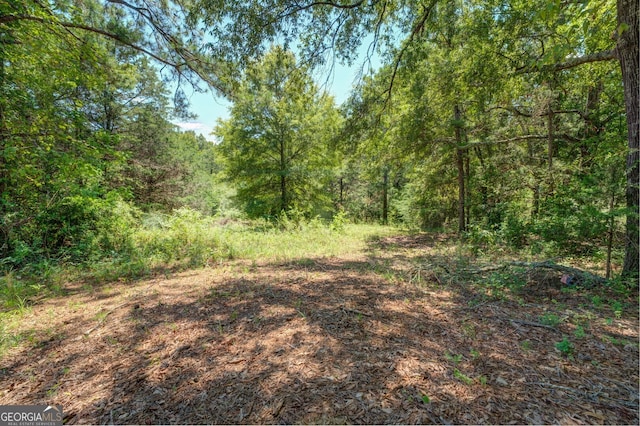 Listing photo 2 for 0 Perimeter Rd, Off, Monticello GA 31064