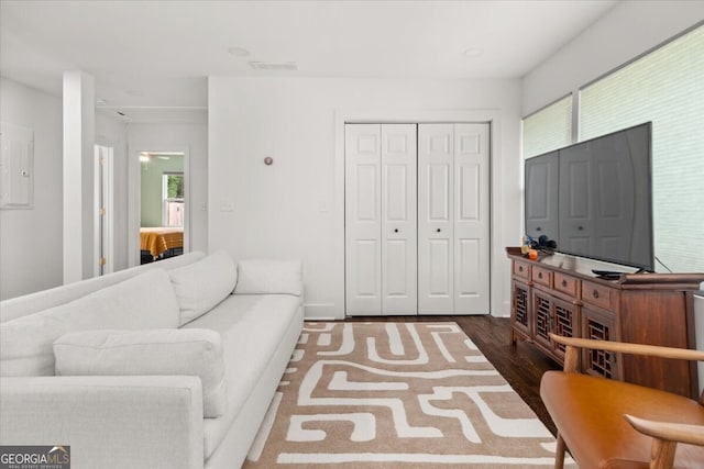 living room featuring dark hardwood / wood-style floors and a wealth of natural light