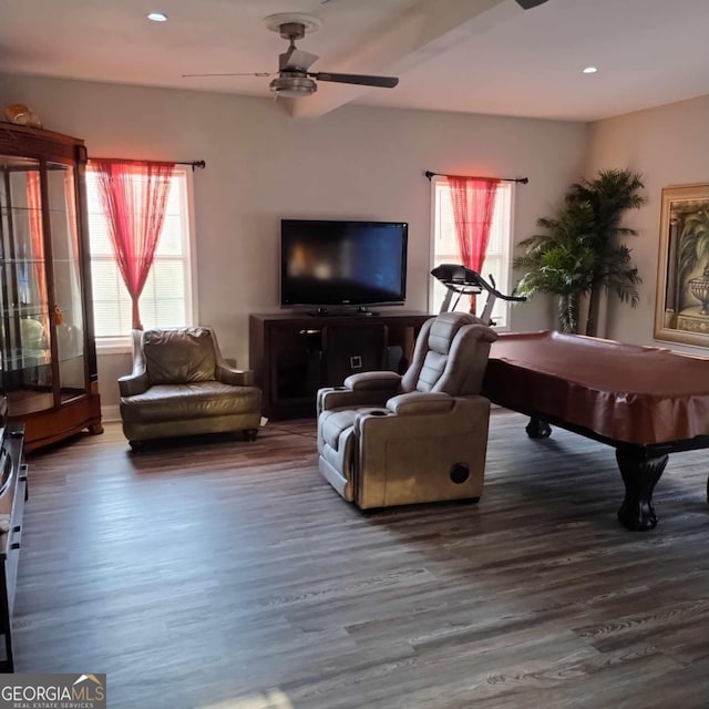 living room with ceiling fan, wood-type flooring, and a wealth of natural light