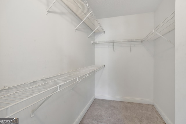 spacious closet featuring light colored carpet