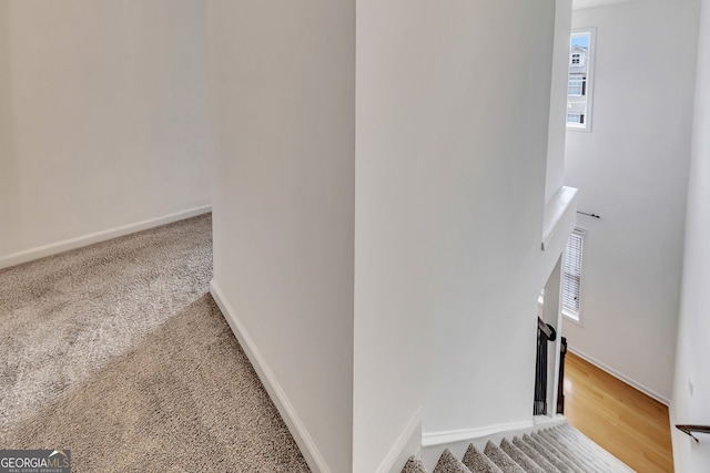 hall with carpet and a wealth of natural light