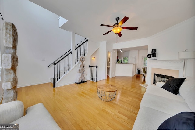 living room featuring ornamental molding, ceiling fan, and light wood-type flooring