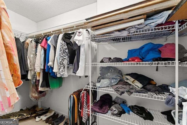 view of walk in closet