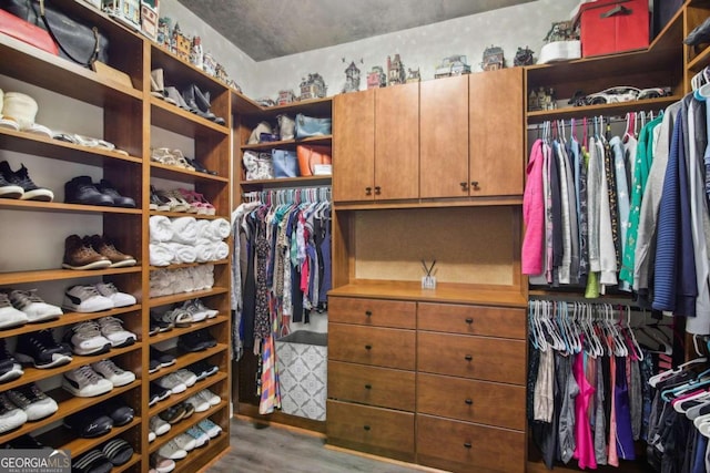 walk in closet with wood-type flooring