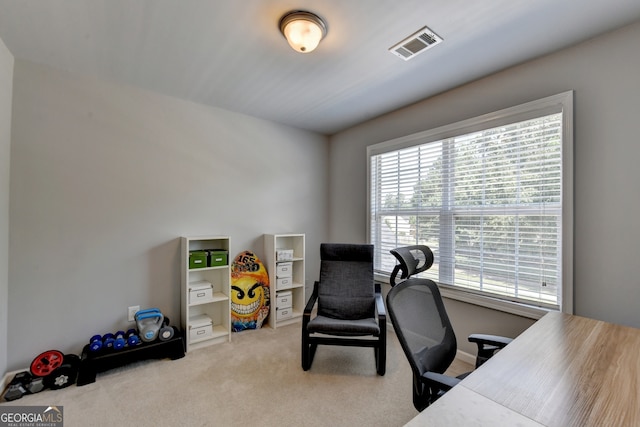 view of carpeted office space